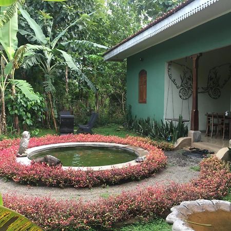 Owls Nest Hotel Udawalawe Buitenkant foto