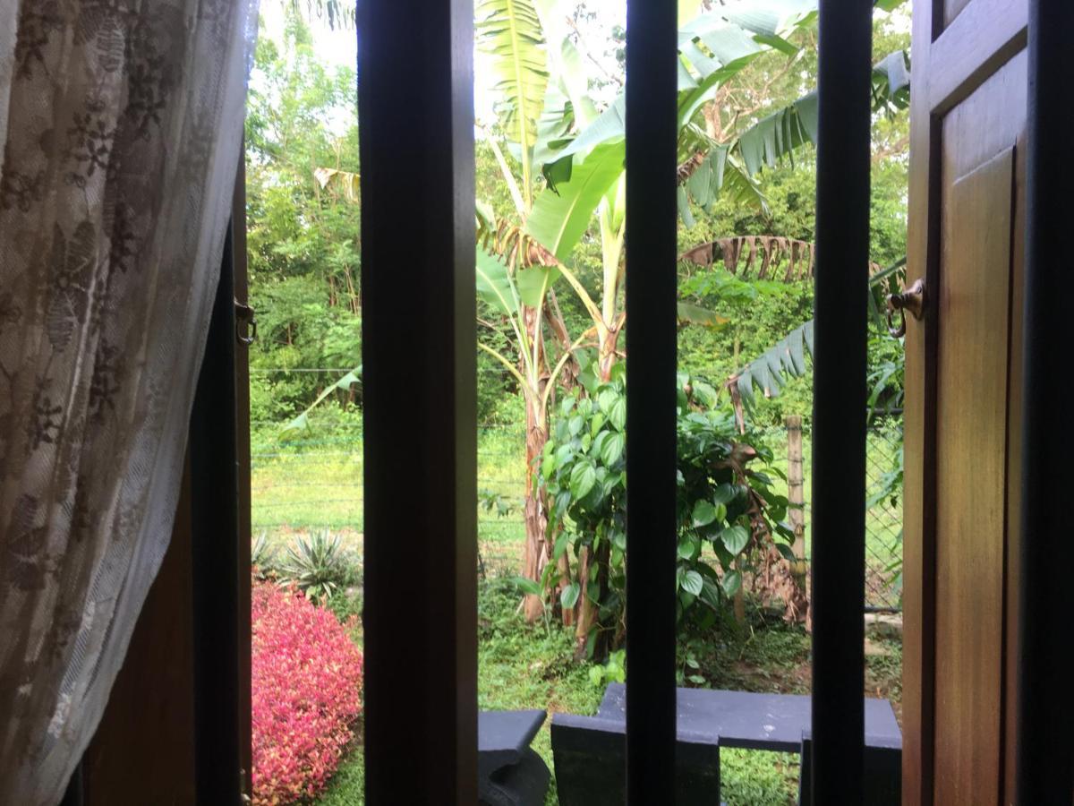 Owls Nest Hotel Udawalawe Buitenkant foto
