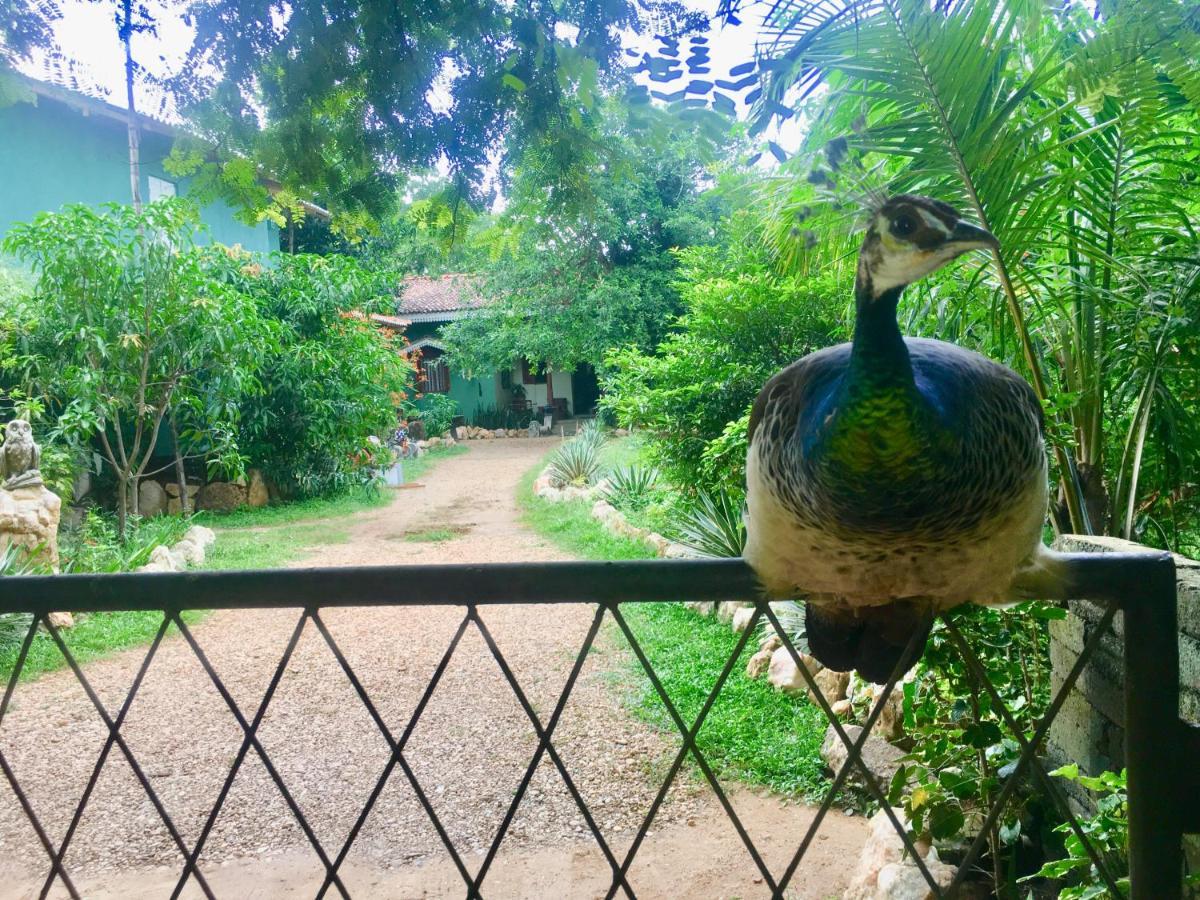 Owls Nest Hotel Udawalawe Buitenkant foto