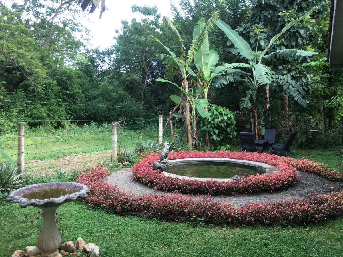 Owls Nest Hotel Udawalawe Buitenkant foto