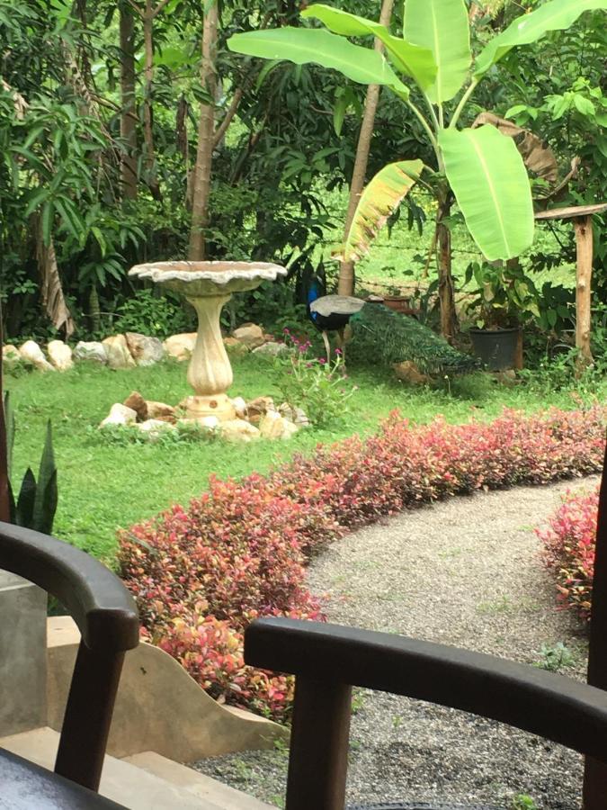 Owls Nest Hotel Udawalawe Buitenkant foto