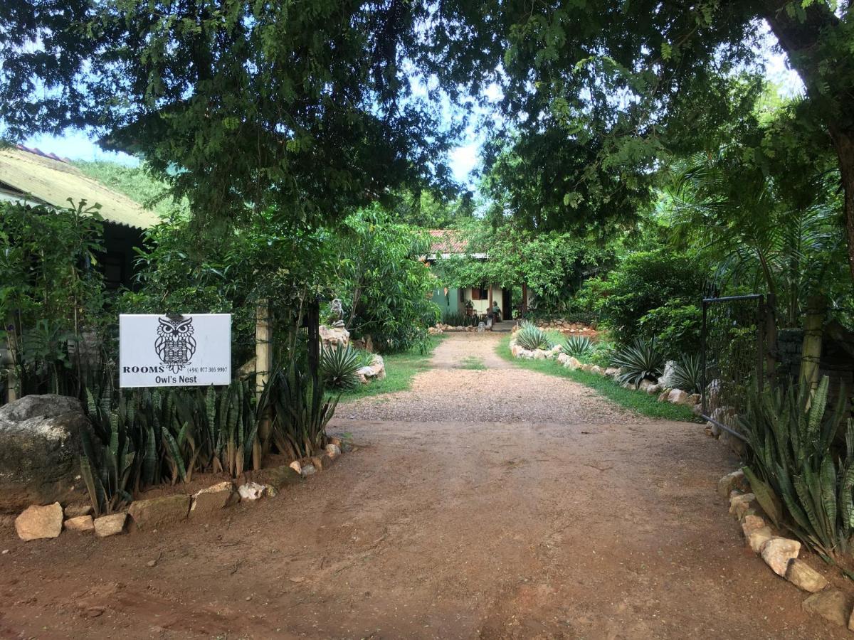 Owls Nest Hotel Udawalawe Buitenkant foto
