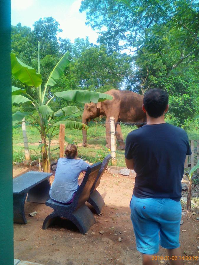 Owls Nest Hotel Udawalawe Buitenkant foto