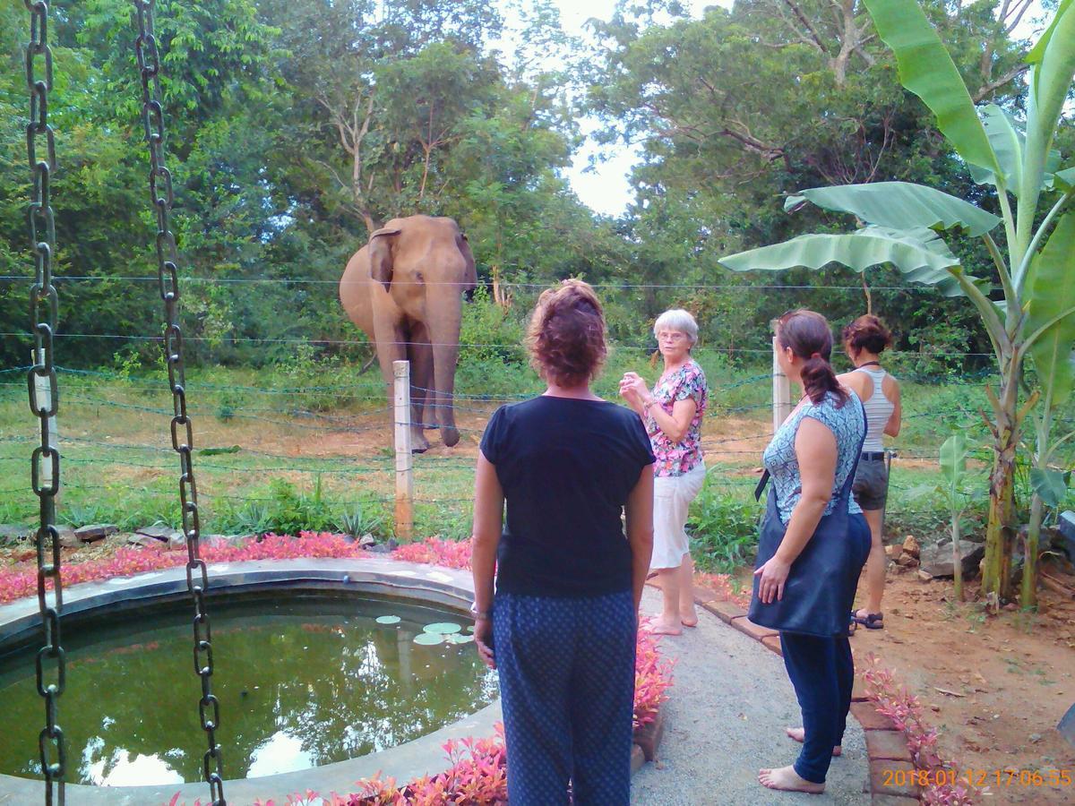 Owls Nest Hotel Udawalawe Buitenkant foto