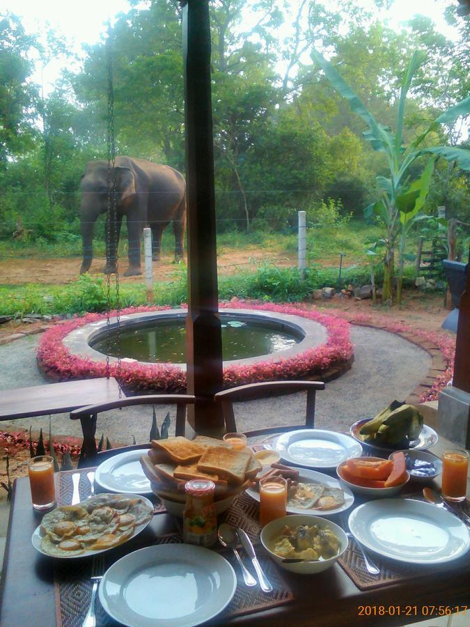 Owls Nest Hotel Udawalawe Buitenkant foto